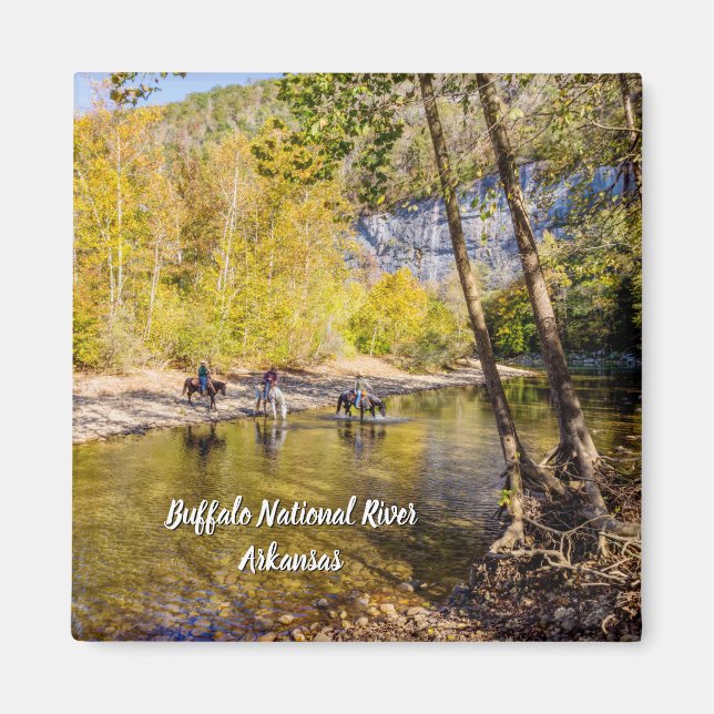 Cruzando El imán De La Plaza Del Río Búfalo (Frente)