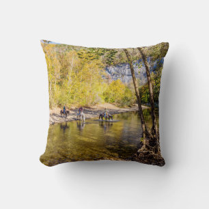 Cruzando la almohada fotográfica del río Búfalo