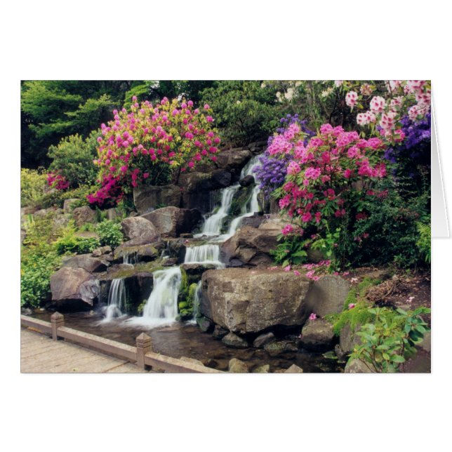 Crystal Springs Garden 2 (Anverso (Horizontal))