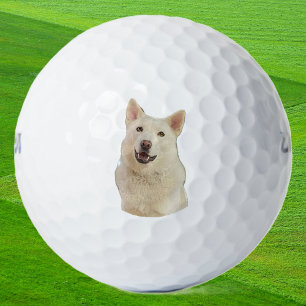 Crystal the Happy Husky Dog - Bolas de golf