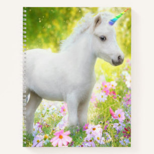CUADERNO 