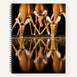 CUADERNO 