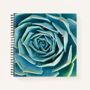 CUADERNO 
