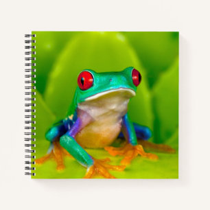 CUADERNO 