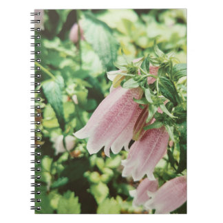 CUADERNO ホタルブクロ　フォトノートブック