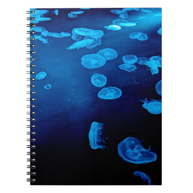 CUADERNO 青いクラゲ フォトリングノートブック (Frente)