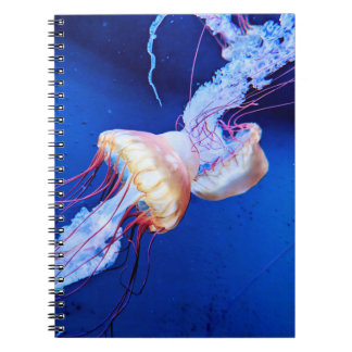CUADERNO 黄色いクラゲ フォトノートブック