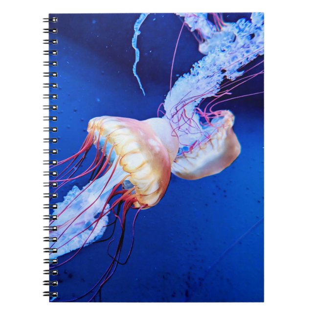 CUADERNO 黄色いクラゲ フォトノートブック (Frente)
