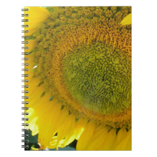 CUADERNO 057.JPG