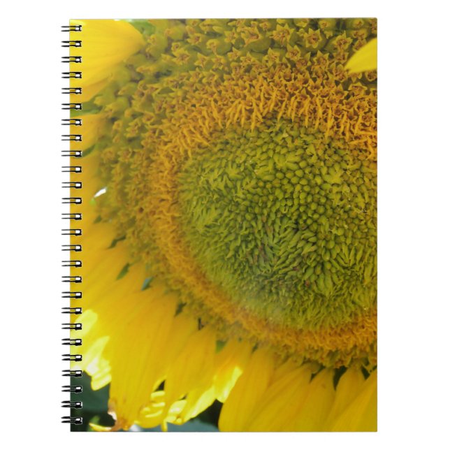 CUADERNO 057.JPG (Frente)