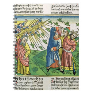 Cuaderno 10:1 del éxodo - 20 las siete plagas de Egipto: e