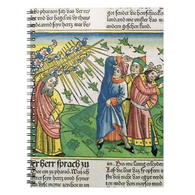 Cuaderno 10:1 del éxodo - 20 las siete plagas de Egipto: el (Frente)