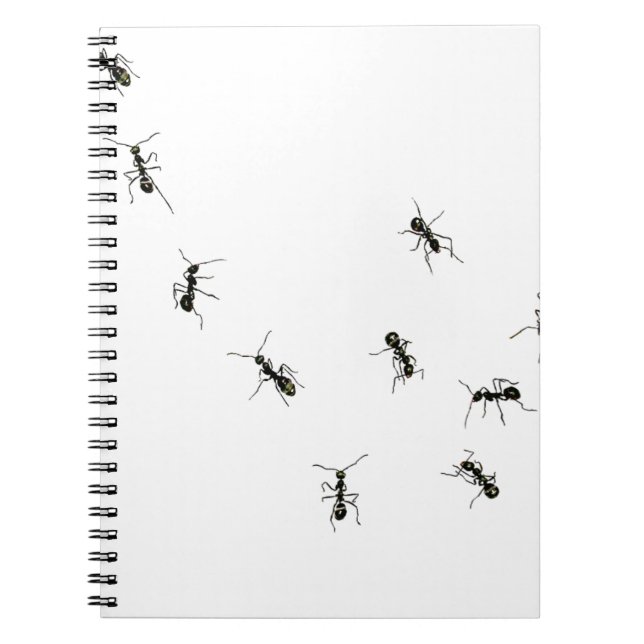 Cuaderno 10 hormigas (Frente)