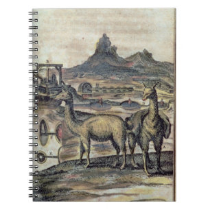 Cuaderno 137-0627924 ilustracion de una historia de Perú s