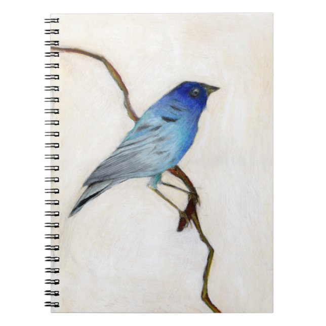 Cuaderno 2012 poco azul (Frente)