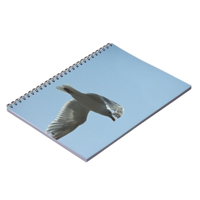 CUADERNO 2367 (Lado Izquierdo)