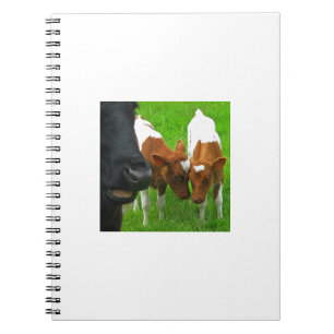 Cuaderno 2 becerros