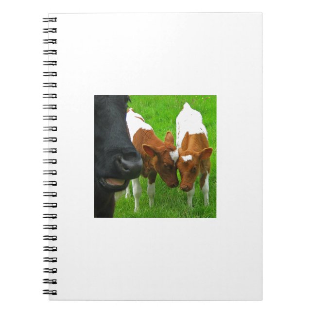 Cuaderno 2 becerros (Frente)