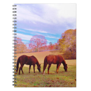 Cuaderno 2 Caballos marrones en un campo de colores