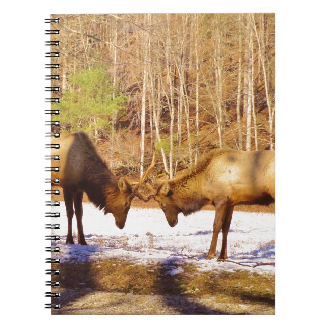 Cuaderno 2~ dos toros en la nieve (Frente)