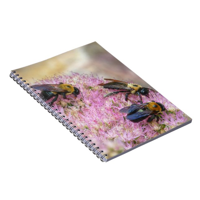 Cuaderno 3 abejorros (Lado Derecho)