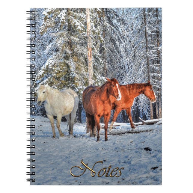 Cuaderno 3 Castaño, Caballos de Rótulos Blancos y Dun y Bos (Frente)