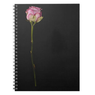 Cuaderno 3 color de rosa rosados