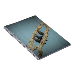Cuaderno 3 cuerdas