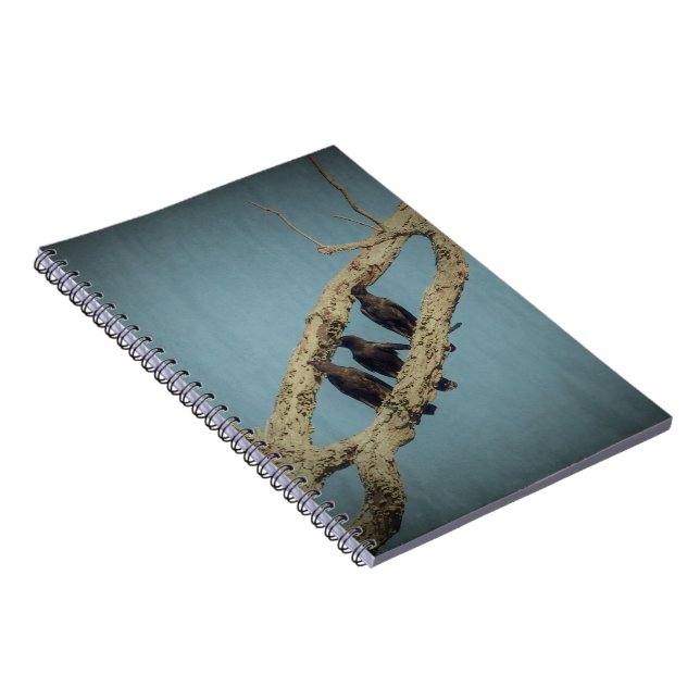 Cuaderno 3 cuerdas (Lado Derecho)