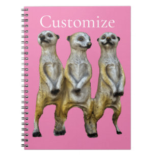 Cuaderno 3 Meerkats permanentes Thunder_Cove