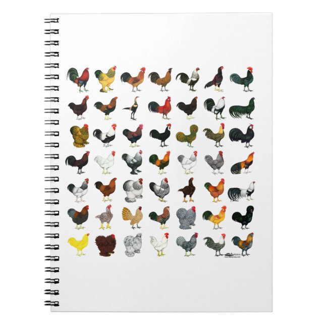 Cuaderno 49 Galerías (Frente)