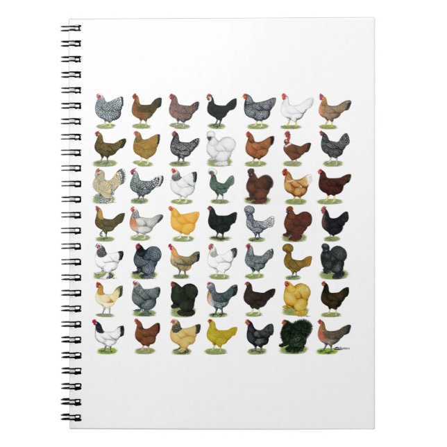 Cuaderno 49 gallinas del pollo (Frente)
