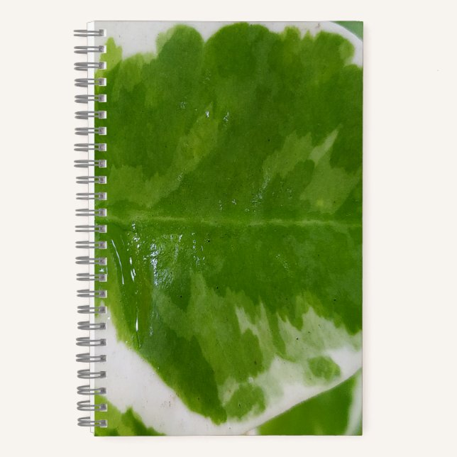 Cuaderno 5,5" x 8,5" Bloc de notas espiral para ideas y not (Anverso)