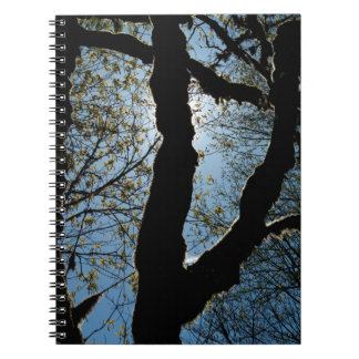 CUADERNO 7.ª