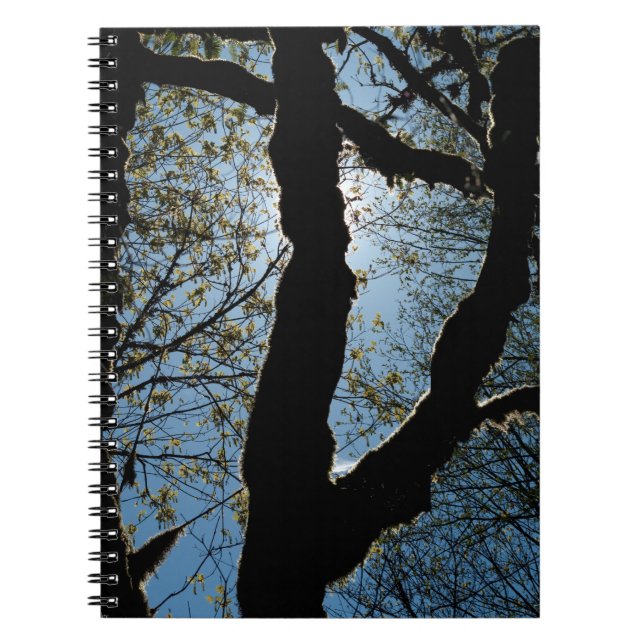 CUADERNO 7.ª (Frente)