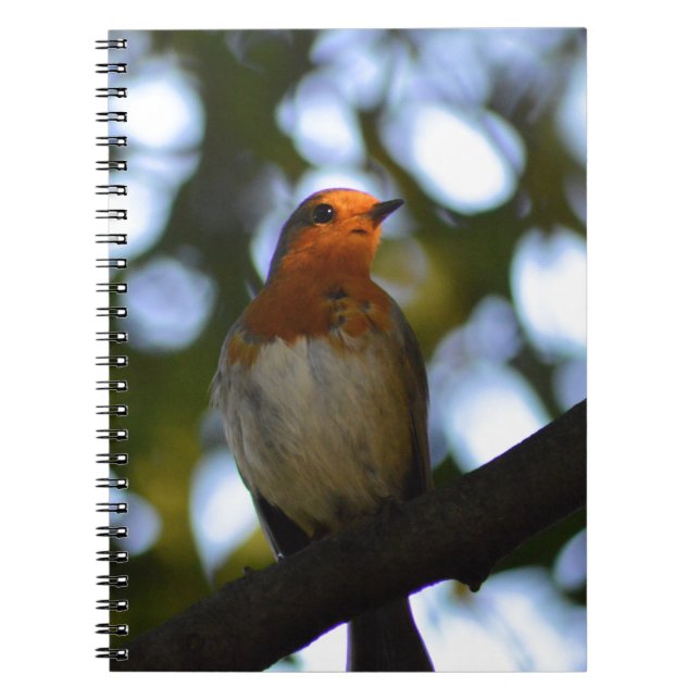 Cuaderno 7.º burra (Frente)