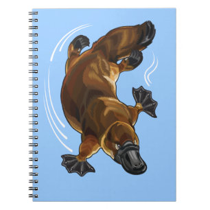 Cuaderno 7.º plaqueta