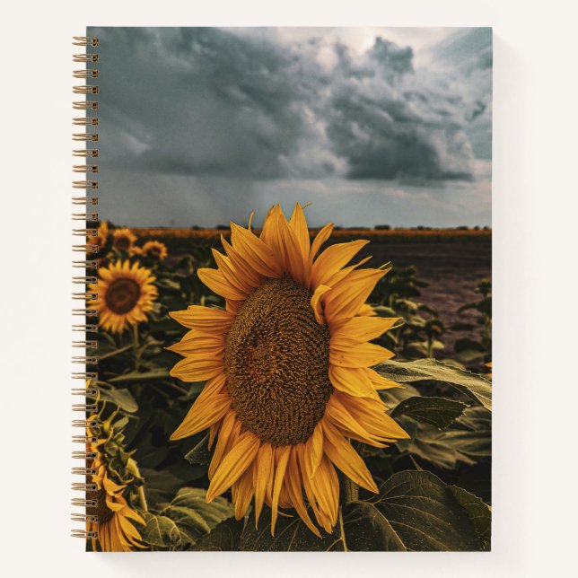Cuaderno 8,5x11 portátil (Anverso)