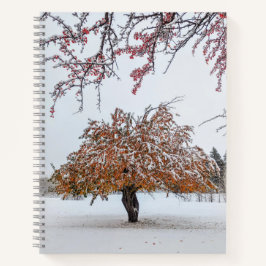 Cuaderno 8,5x11 portátil