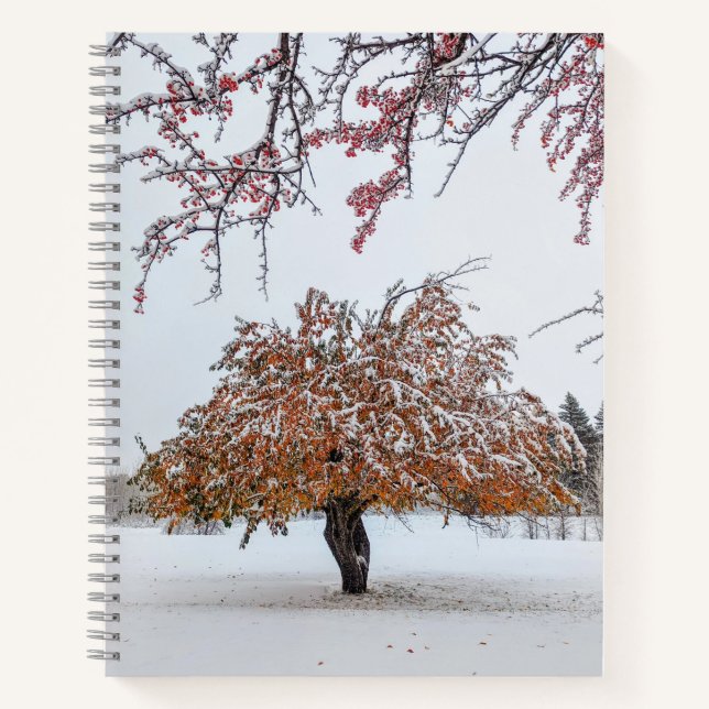 Cuaderno 8,5x11 portátil (Anverso)