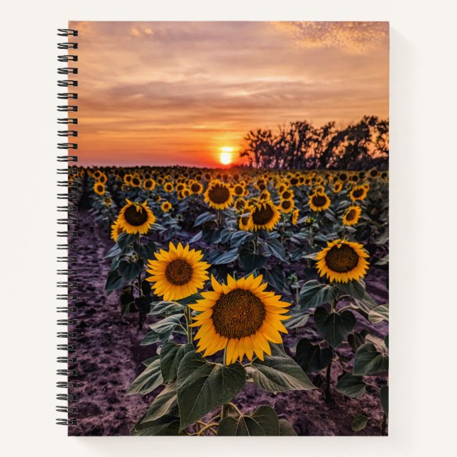 Cuaderno 8,5x11 portátil (Anverso)