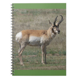 Cuaderno A15 Berrendo Antilope Macho Grosero