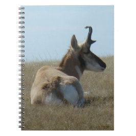 Cuaderno A16 Apelamiento de Antelope Pronghorn