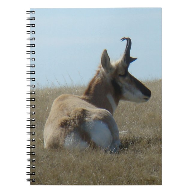 Cuaderno A16 Apelamiento de Antelope Pronghorn (Frente)