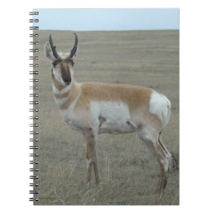 Cuaderno A28 Berrendo Antílope Joven Ciervo