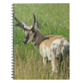 Cuaderno A35 Pronghorn Antelope Buck