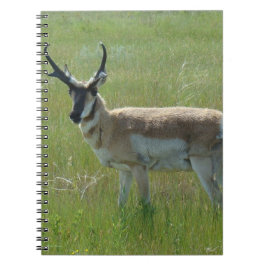Cuaderno A36 Pronghorn Antelope Buck