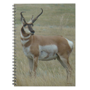 Cuaderno A37 Hornos Crocidos de Antelope Pronghorn