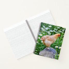 Cuaderno A los pollos les encantan los días