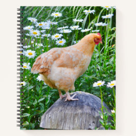 Cuaderno A los pollos les encantan los días